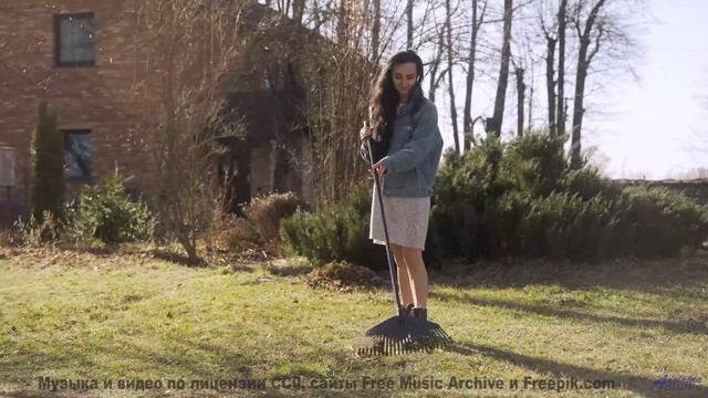 Виды становятся частью вас вместе с этой мелодией - Mushrooms -- Ketsa -- The Calling