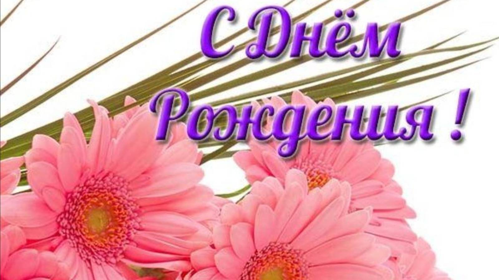 Поздравление ЖЕНЩИНЕ с Днем Рождения🎁Музыкальный подарок от всей души Видео открытка