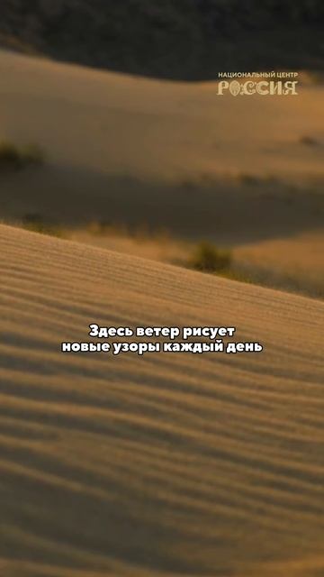 Сарыкум: золотая загадка Дагестана