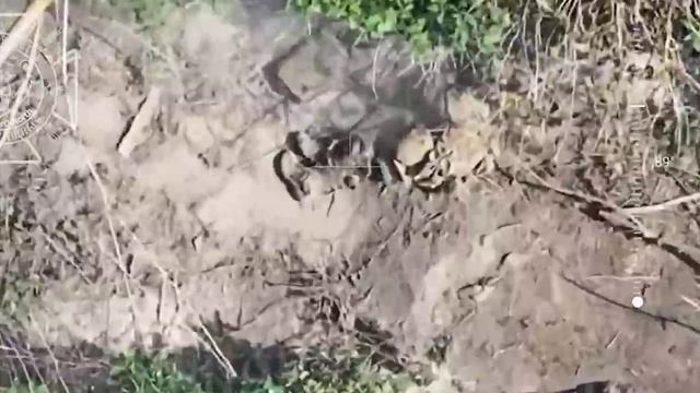 💥Бои в Сумской области: Северяне уничтожают пехоту ВСУ на подступах к границе !!!