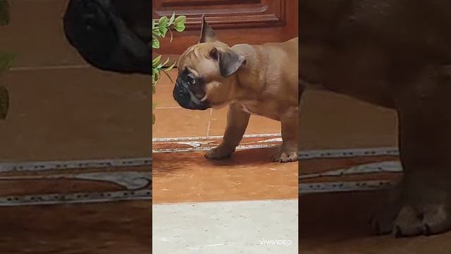 1000446891.mp4