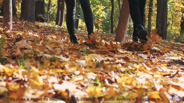 Звуки, очищающие душу - вы не готовы к этому опыту! - Limelight -- Podington Bear -- Haplessly Happy