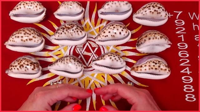 ТРОИЦА Загадай ракушку Исполни ЖЕЛАНИЕ #таро #онлайн Светлана ВЕДА