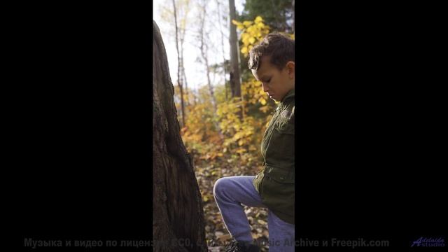 Звуки, которые могут перезагрузить ваш мозг - попробуйте! - City In The Rearview -- HoliznaCC0 -- We