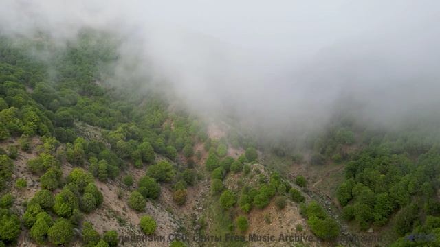 Мелодии, которые звучат громче, когда их слушаешь в объятиях у гор - 11 LB -- Shaolin Dub -- Preserv