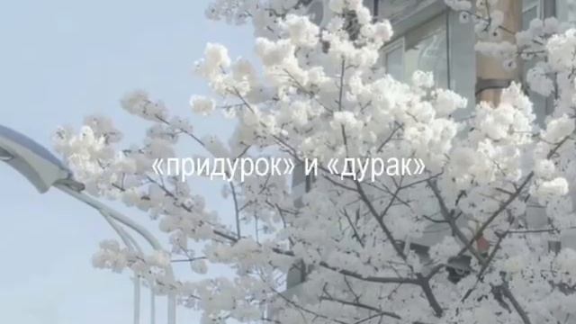 VID-20250607-WA0365.mp4