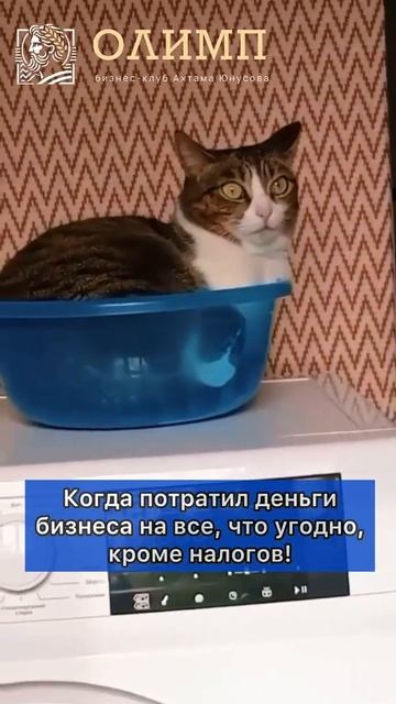 Когда потратил деньги бизнеса на все, что угодно, кроме налогов!