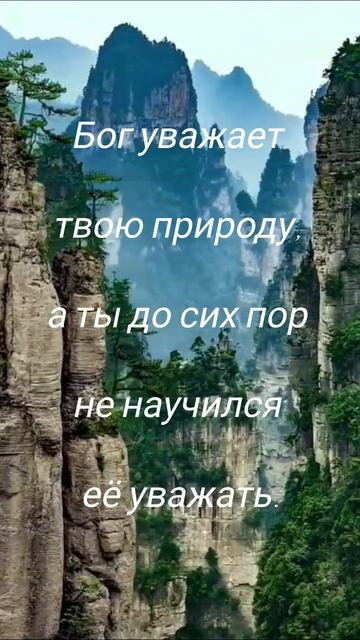 Радуйся