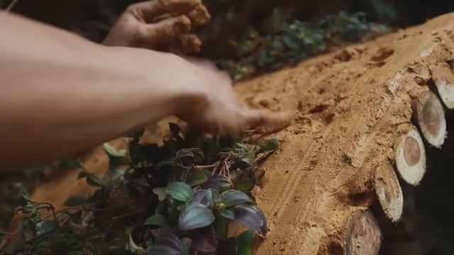 Я ДОМ ТЕБЕ в СКАЛЕ ПОСТРОИЛ ЗАЦЕНИ