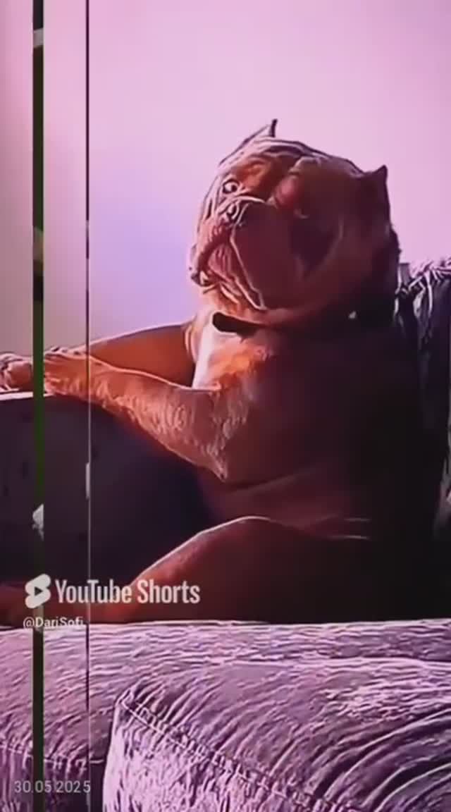 VID_20250530102610