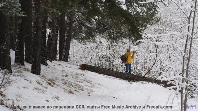 Видео, которое зарядит вас энергией на неделю вперед! - The Album Leaf -- Podington Bear -- Homage F