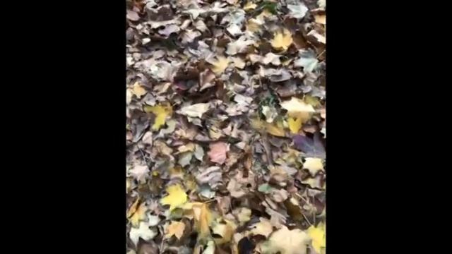 "Устала" (Melody №13)