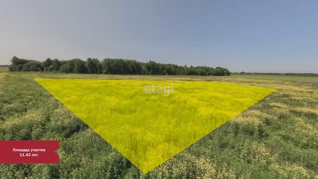 4 8505963