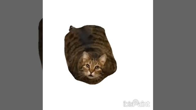 мяяяяяяяяяяяяау