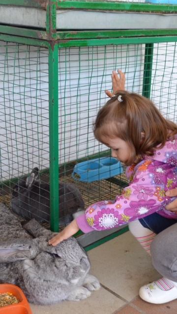 Первый поход в зоопарк. Дочке 2,5 года