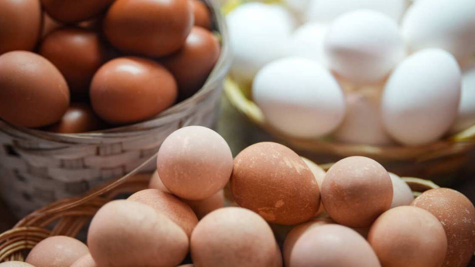 NBC: 1,7 миллиона яиц отозваны из-за расследования вспышки сальмонеллеза в США
