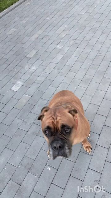 1000045382.mp4
