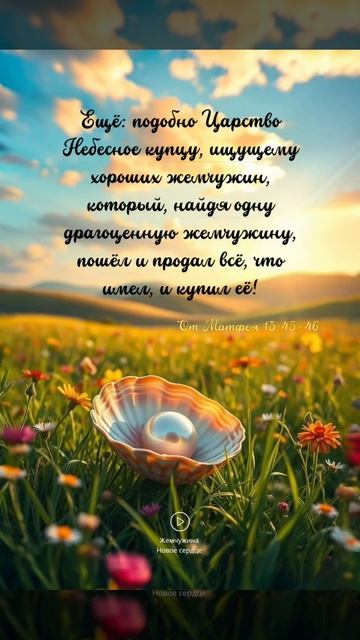 Жемчужина