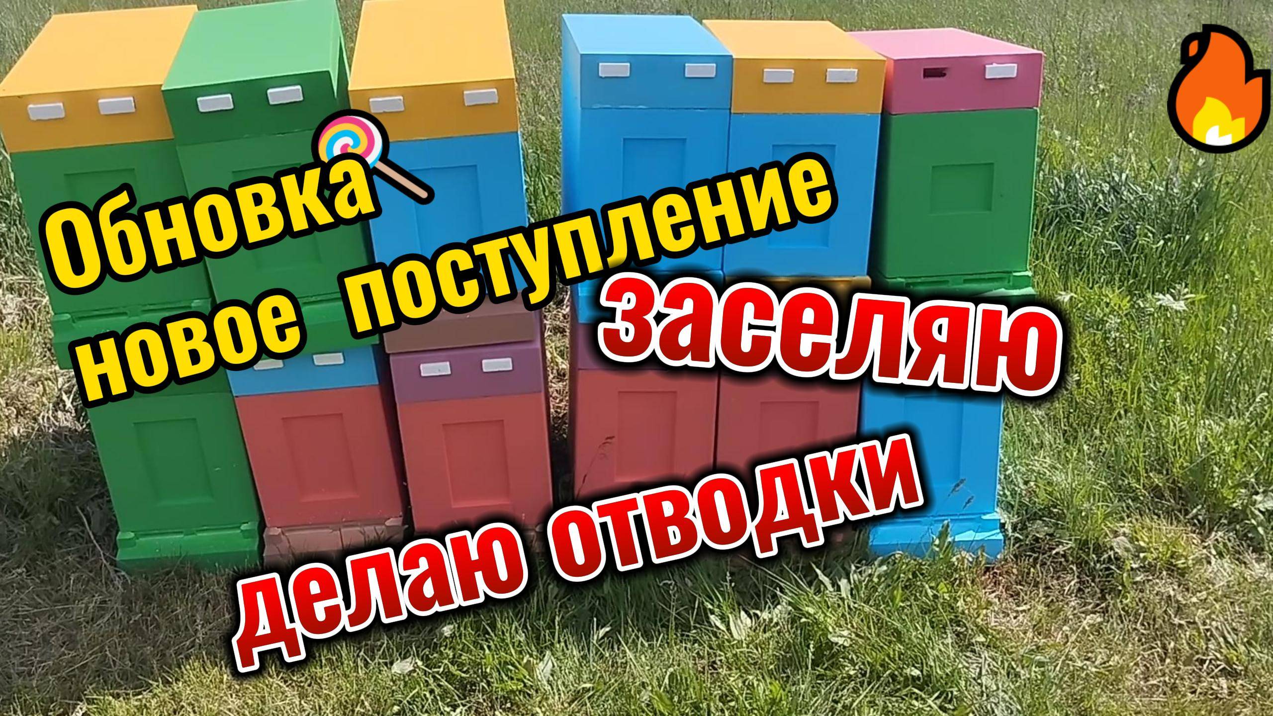 Тяжело быть пчеловодом !!!!