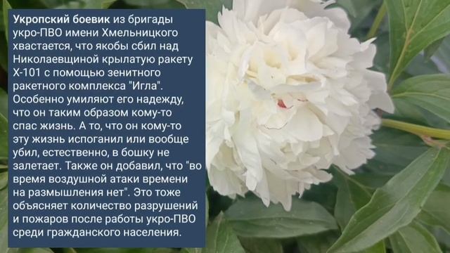 Николаев 9 июня 2025 года (новости)