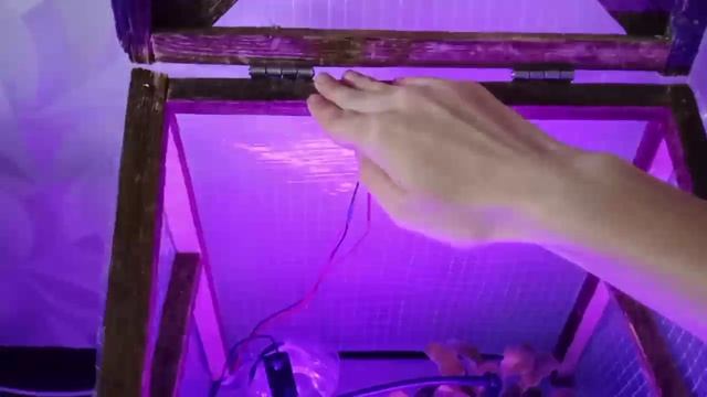 Демонстрация функций автоматизированной теплицы