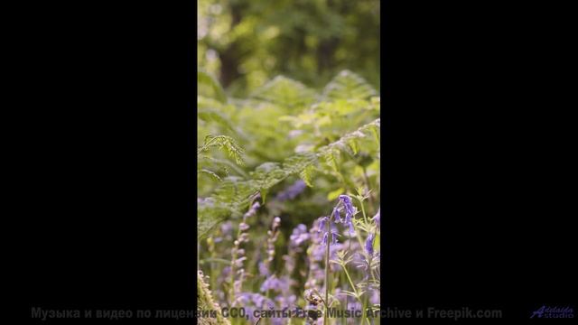 Эта композиция - как шёпот любимого на рассвете... - Take to the Skies! (Instrumental) -- Forget the