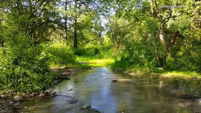 Умиротворяющие звуки природы часть 9