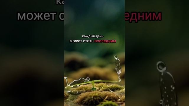 Что мы с собой можем забрать?