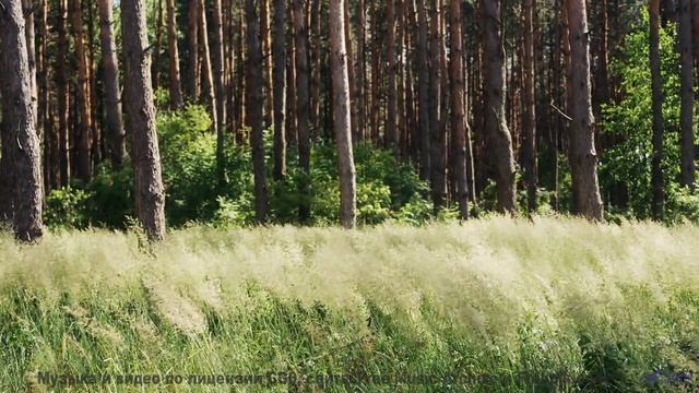 Это видео НЕ ДЛЯ СЛАБАКОВ! - House on a Tree -- Crowander -- Commercial 30 Seconds (filmtv music)