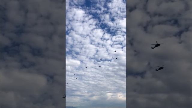Нечастое видео «миграции» вертолетов американской армии