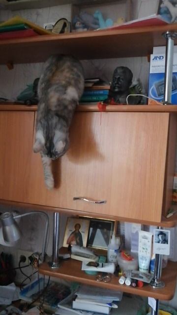 VID_20250605_100007.mp4