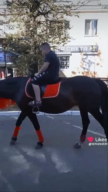 Ярик катается на лошадь Они очень любит лето 🐎🐎🐎 ролик от лайками 2025 г.