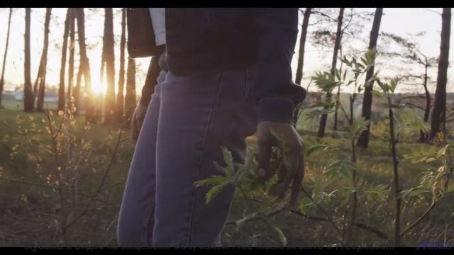 Эта мелодия раскроет красоту Земли - Sun is Calling -- DJ Petition -- Unnamed album