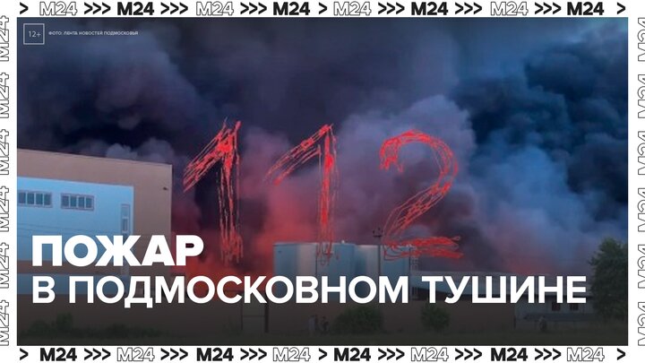 В подмосковном Пушкине спасатели продолжают тушить пожар - Москва 24