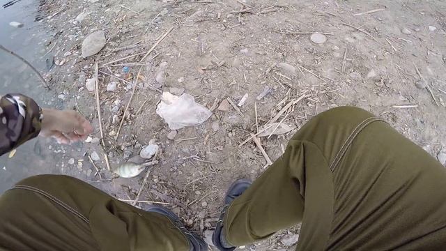 Мормышинг. Хороший клев окуня на запресованном водоеме!