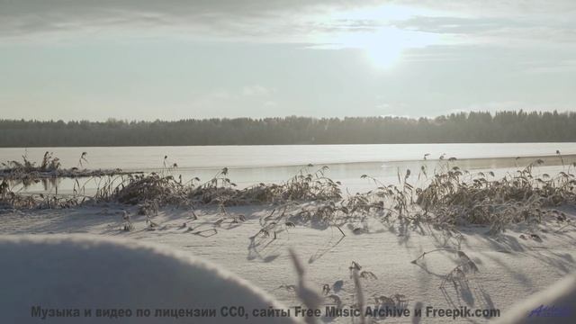 Природа, увиденная глазами искусственного сверхразума - новый взгляд на реальность! - Somewhere Else
