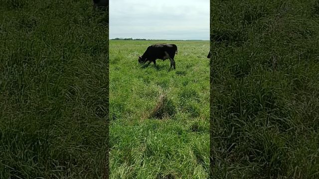 1000007865.mp4