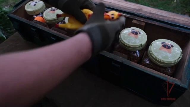 Росгвардия по ЛНР сняли хорошее видео!