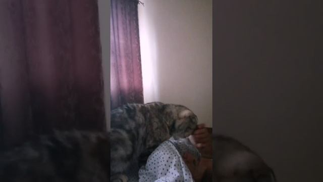 Мой будильник.