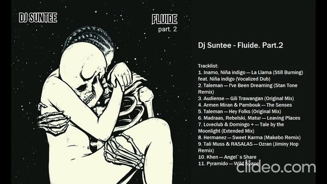 Dj Suntee - Fluide. Part.2 (Organic & Melodic House Mix)