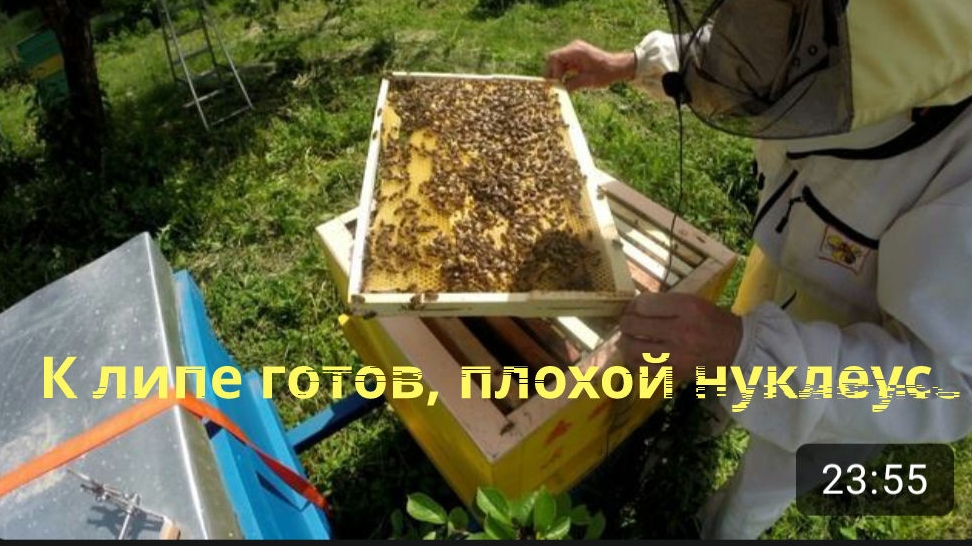 7 июня 2025 года.Работа на пасеке, честный обзор микронуклеуса деньги на ветер, осмотр пчёл.