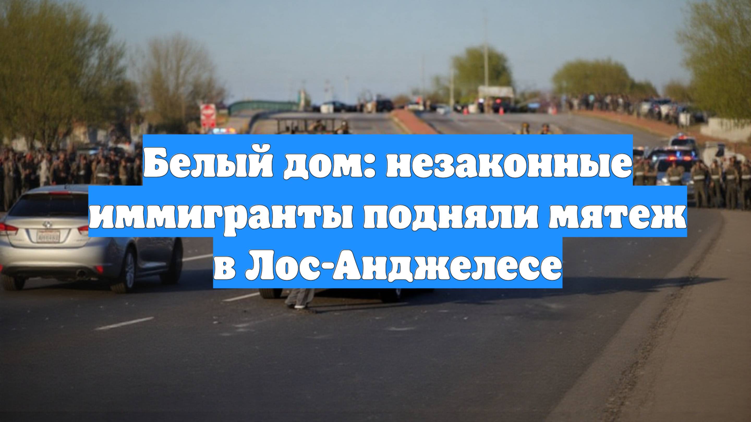 Белый дом: незаконные иммигранты подняли мятеж в Лос-Анджелесе