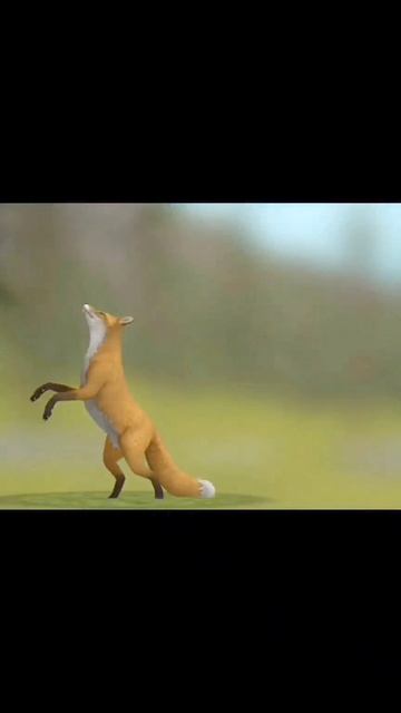 #WildCraft#Fox 2
