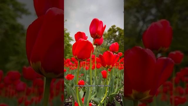 1000038662.mp4