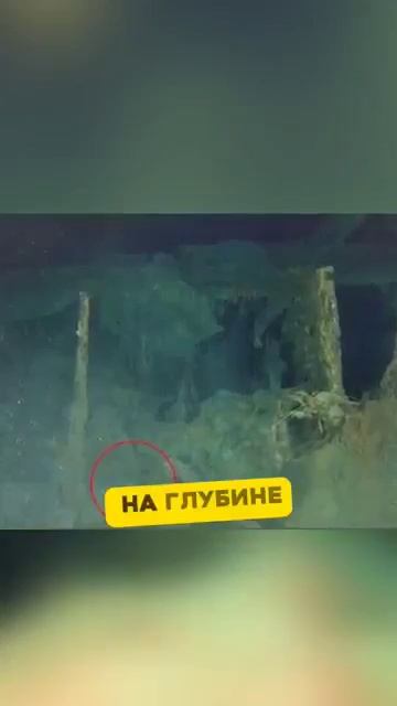 Клип @mem_archive