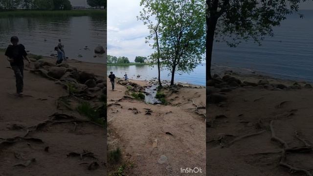 InShot_20250607_230357852.mp4