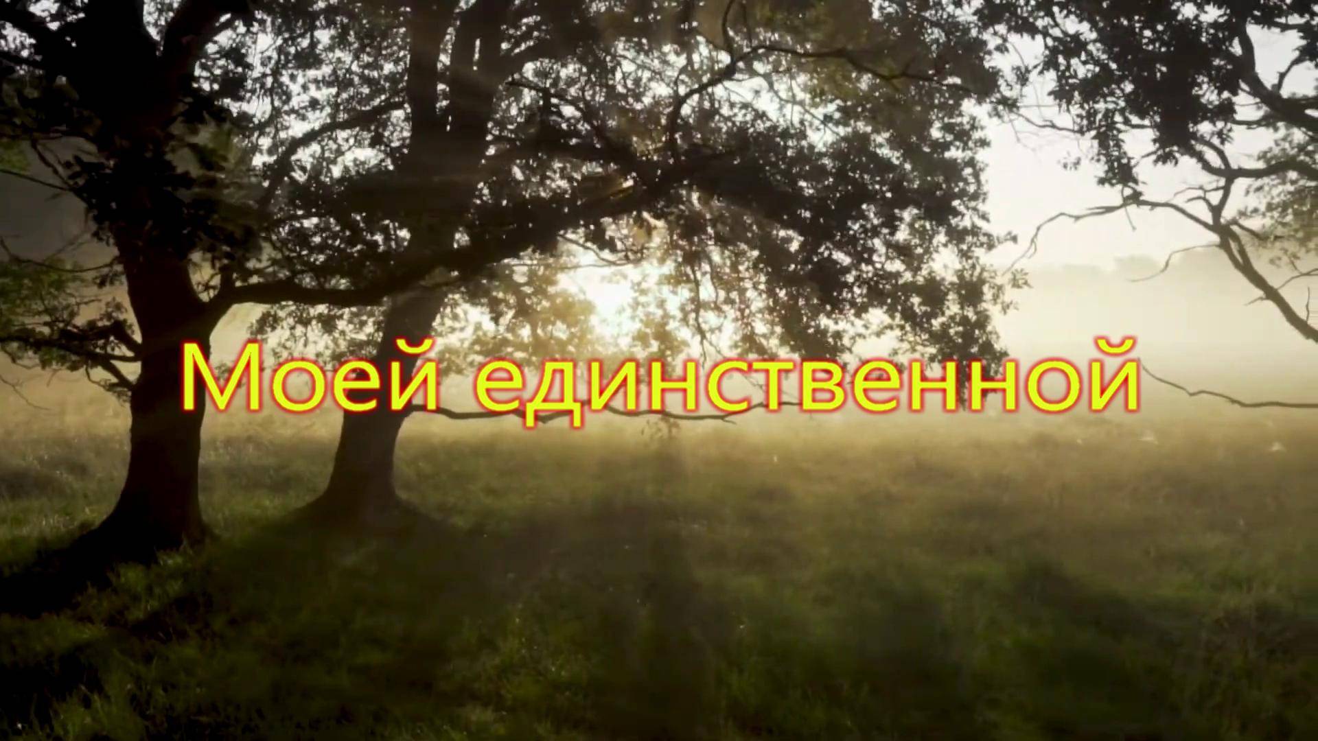 Моей единственной
