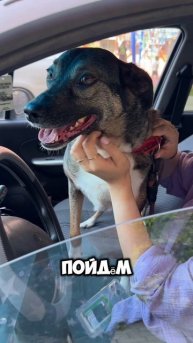 Новое знакомство