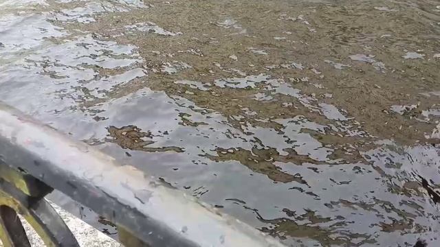 VID-20250608-WA0001