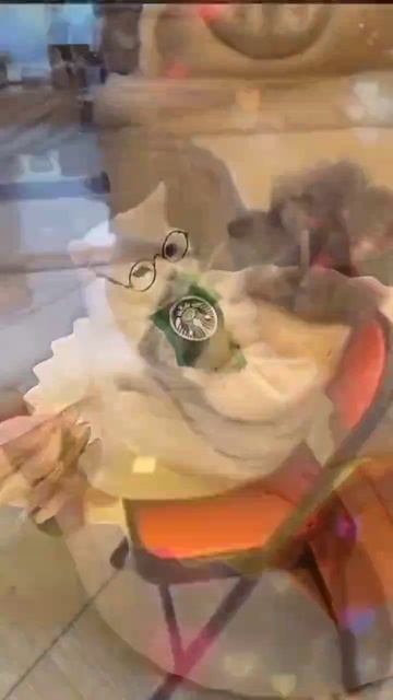1747510864184.mp4